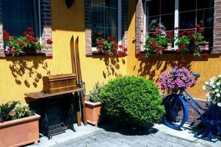 Atrium 24 Suite Sighisoara Bagian luar foto